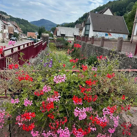 Appartement Cosy A Avec Vue Sur Les Montagnes *
